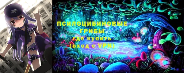 стафф Алексеевка