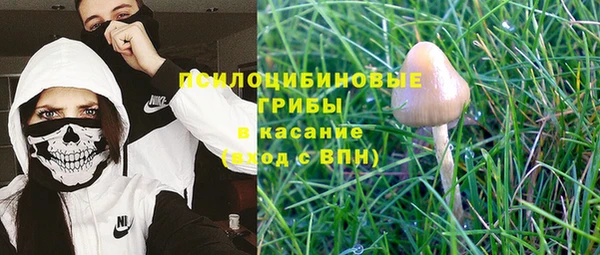 ECSTASY Киренск