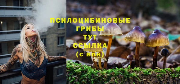 эйфоретик Киреевск