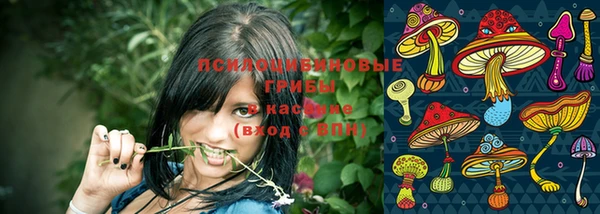 кокаин премиум Алзамай