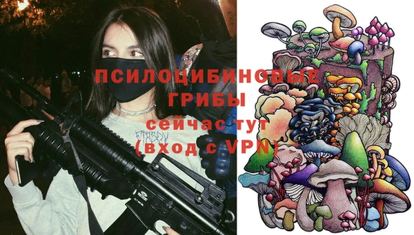 сатива Алексин